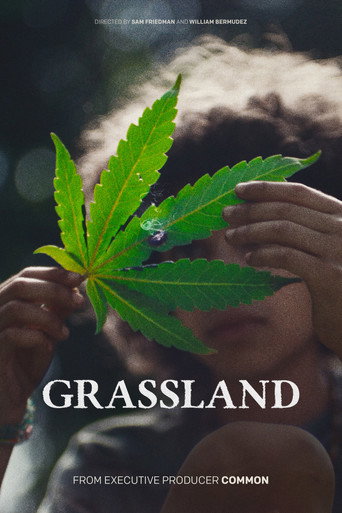 Grassland (2025) poster