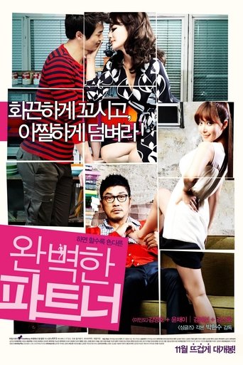 My Secret Partner (2011) poster