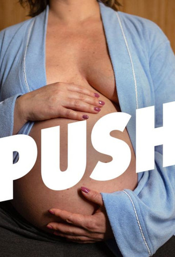 Push (2024) poster