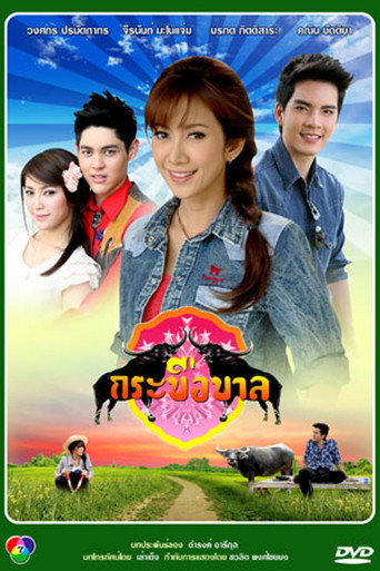 Buffalo Governance (2012) poster