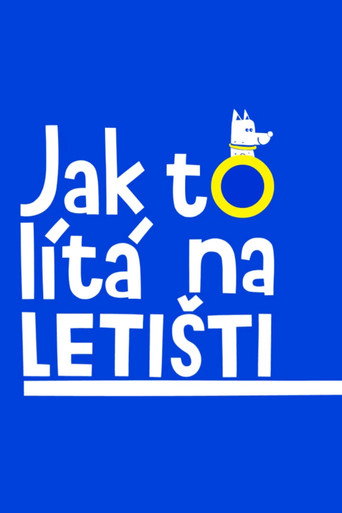 Jak to lítá na letišti (2020) poster