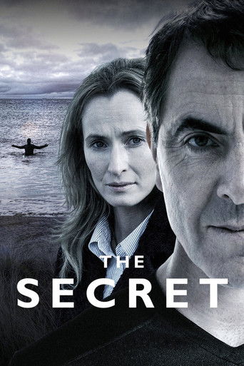 The Secret (2016) poster