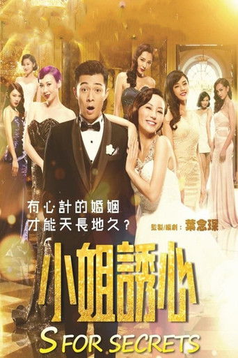S for Sex, S for Secrets (2014) poster
