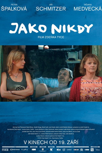 Like Never Before (2013) poster