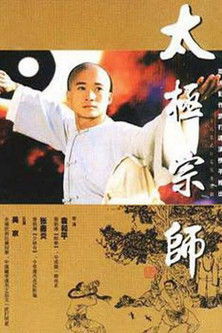 The Master of Tai Chi (1998) poster