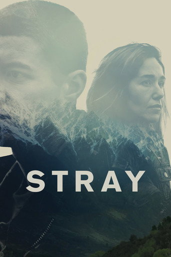 Stray (2018) poster