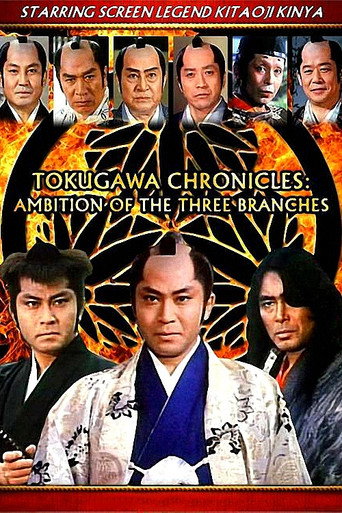 Tokugawa Chronicles: Ambition of the 3 Branches (1986) poster