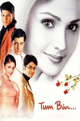 Tum Bin (2001) poster