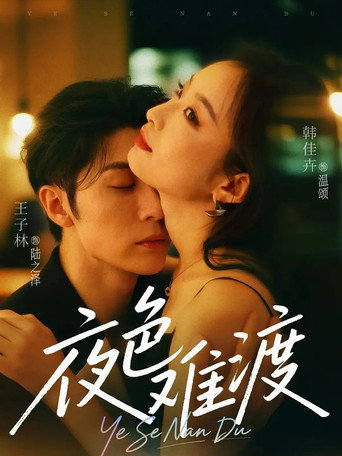 夜色难渡 (2025) poster