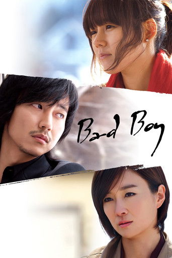 Bad Guy (2010) poster