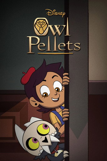 Owl Pellets (2020) poster