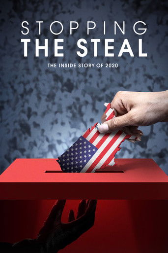 Stopping the Steal (2024) poster