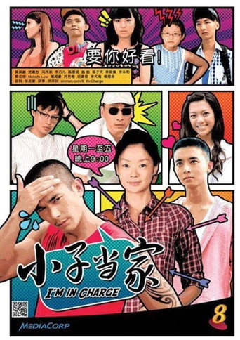 I'm in Charge (2013) poster