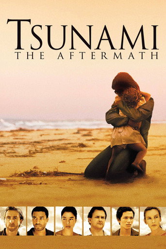 Tsunami: The Aftermath (2006) poster