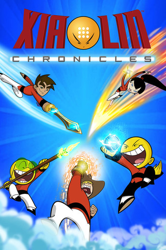 Xiaolin Chronicles (2013) poster