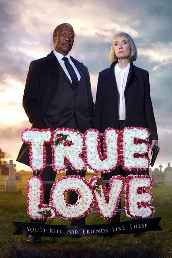 Truelove (2024) poster
