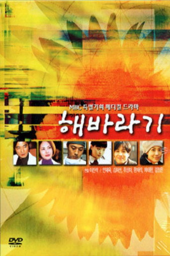 Sunflower (1998) poster