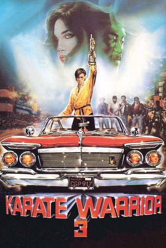 Karate Warrior 3 (1991) poster