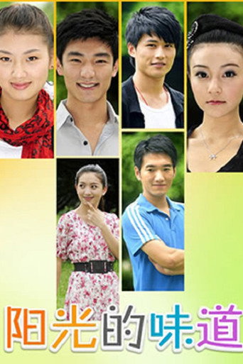 阳光的味道 (2010) poster
