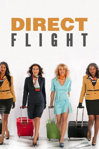 Direct Flight (2010) poster