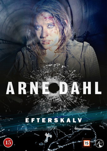 Arne Dahl 09 - Afterquake (2015) poster