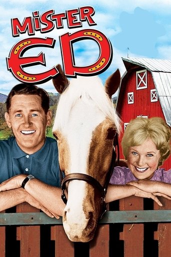 Mister Ed (1961) poster