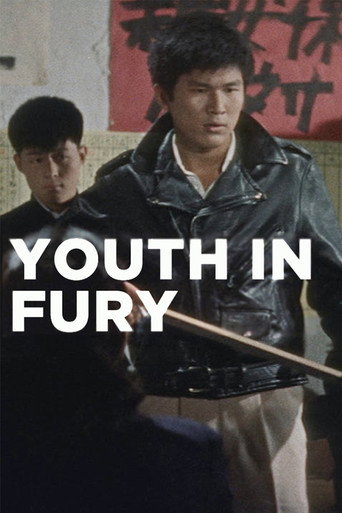 Youth in Fury (1960) poster
