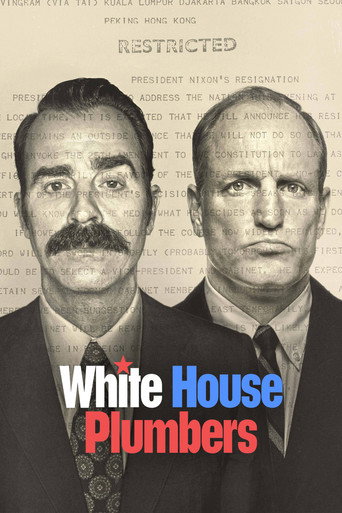 White House Plumbers (2023) poster