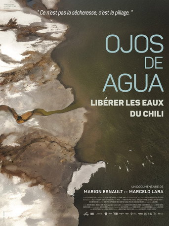 Ojos de Agua: Freeing the Waters of Chile (2025) poster