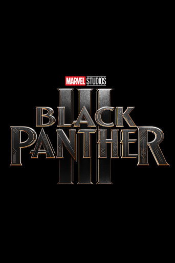 Black Panther 3 (2028) poster