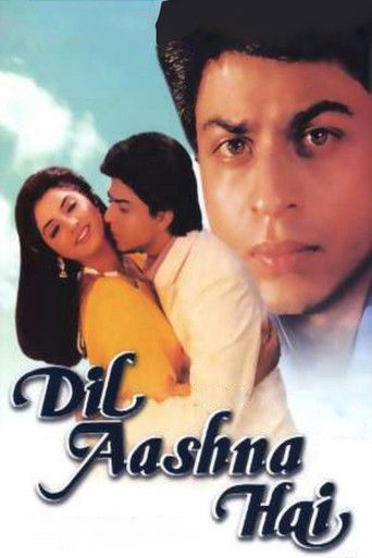 Dil Aashna Hai (1992) poster