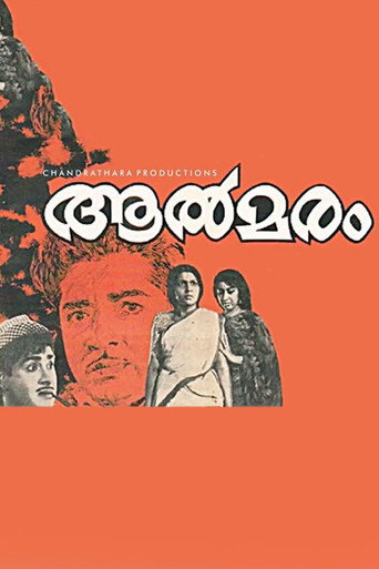 Aalmaram (1969) poster