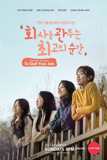 The Best Moment To Quit Your Job (2017) poster