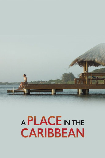 A Place in the Caribbean (2017) poster