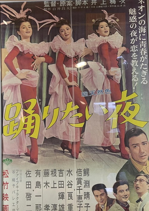 The Night We Danced poster