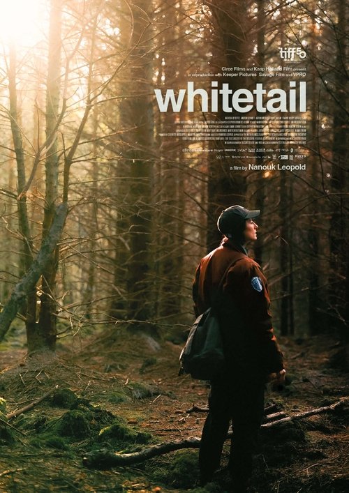 Whitetail poster