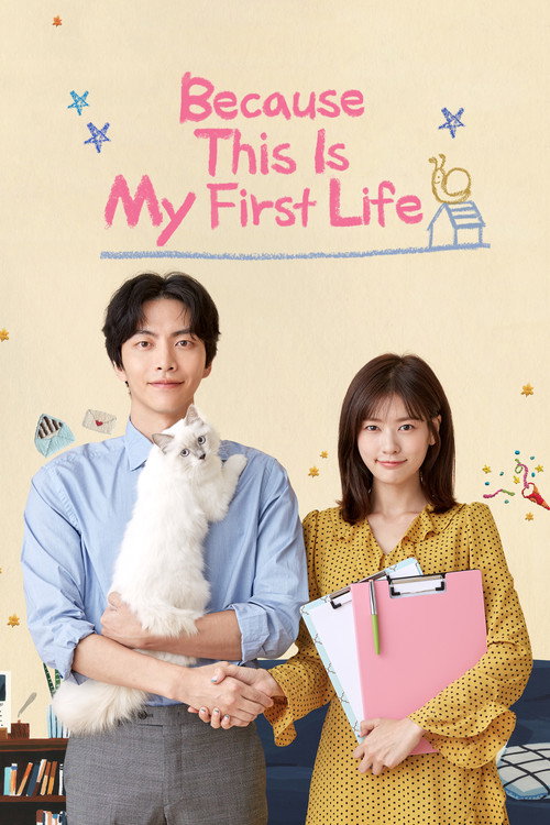 Because This Is My First Life poster