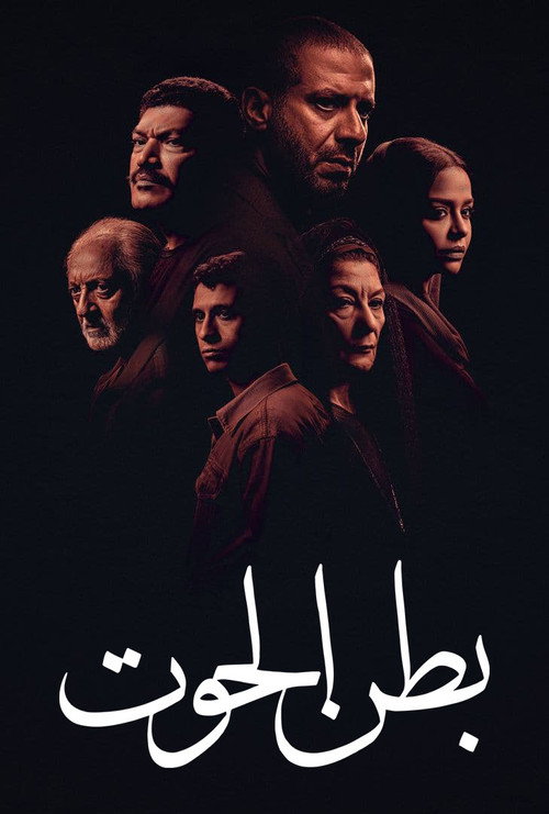 Belly of the Whale poster