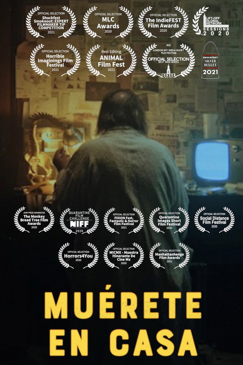 Die at Home poster