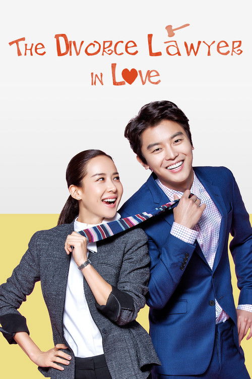 Divorce Lawyer in Love poster