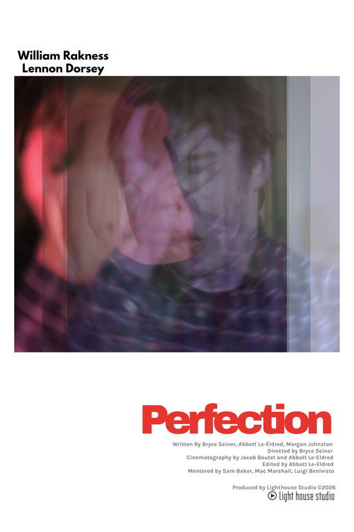 Perfection poster
