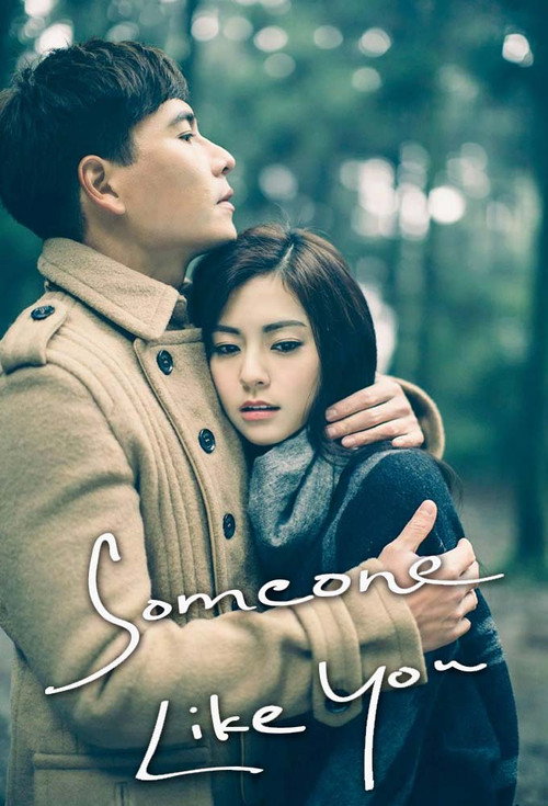Someone Like You poster