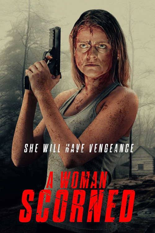 A Woman Scorned poster