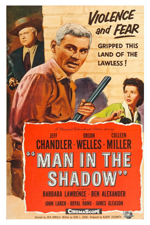Man in the Shadow poster