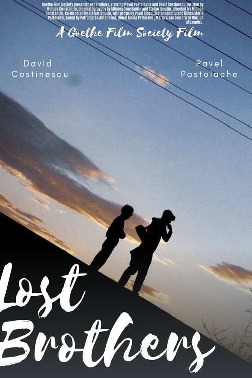 Lost Brothers poster