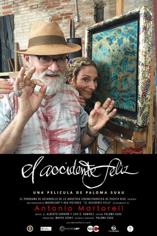 El accidente feliz poster