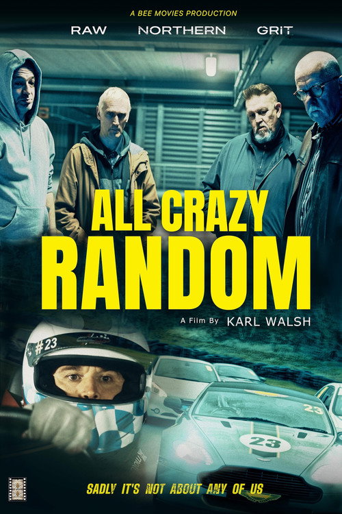 All Crazy Random poster
