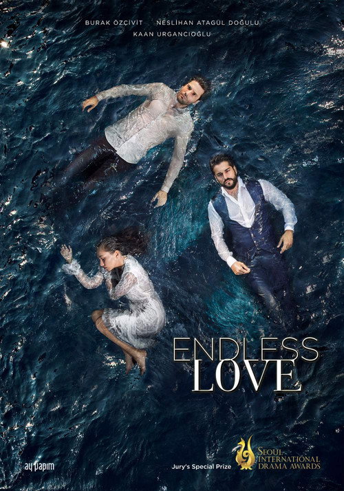 Kara Sevda poster