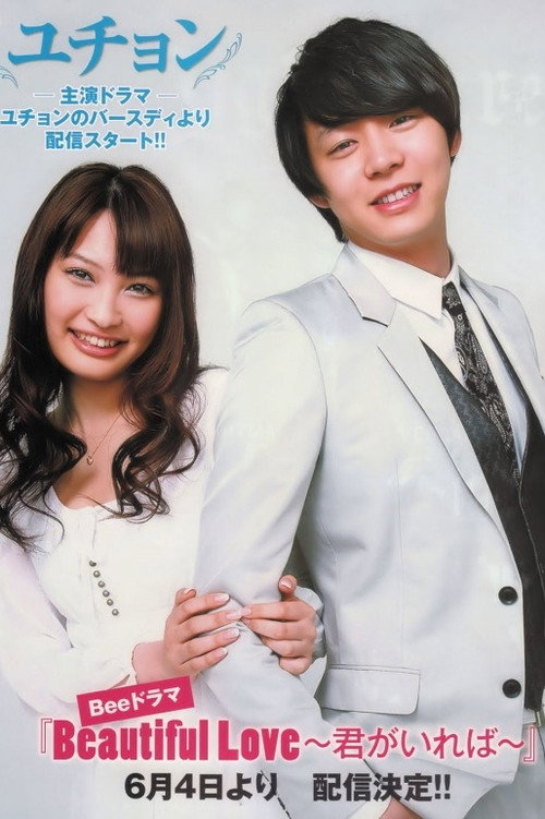 Beautiful Love poster