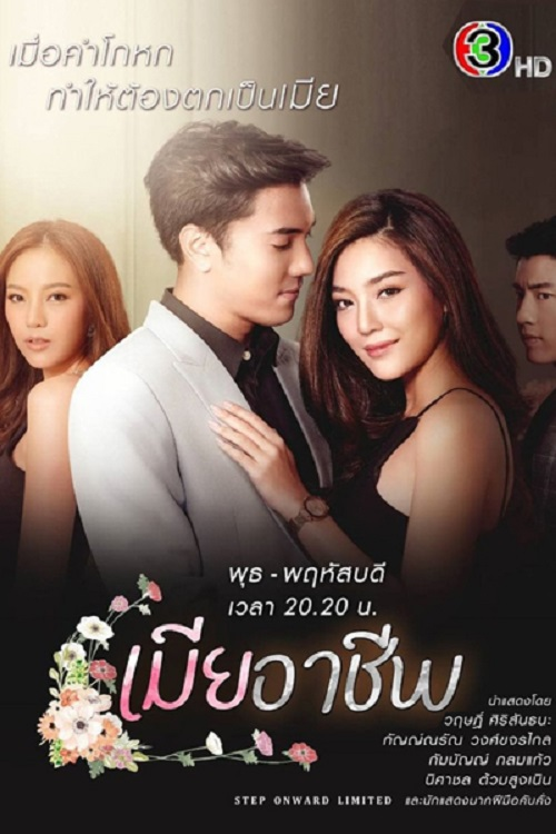Perfect Wife poster